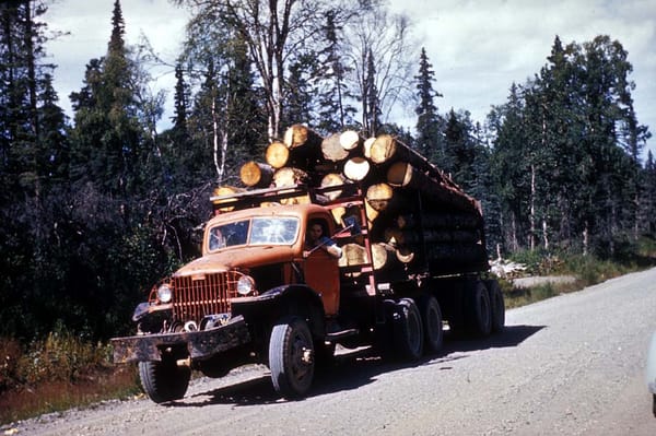 USD Logging